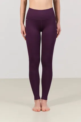 SCULPT SEAMLESS LEGGING WINTERBLOOM